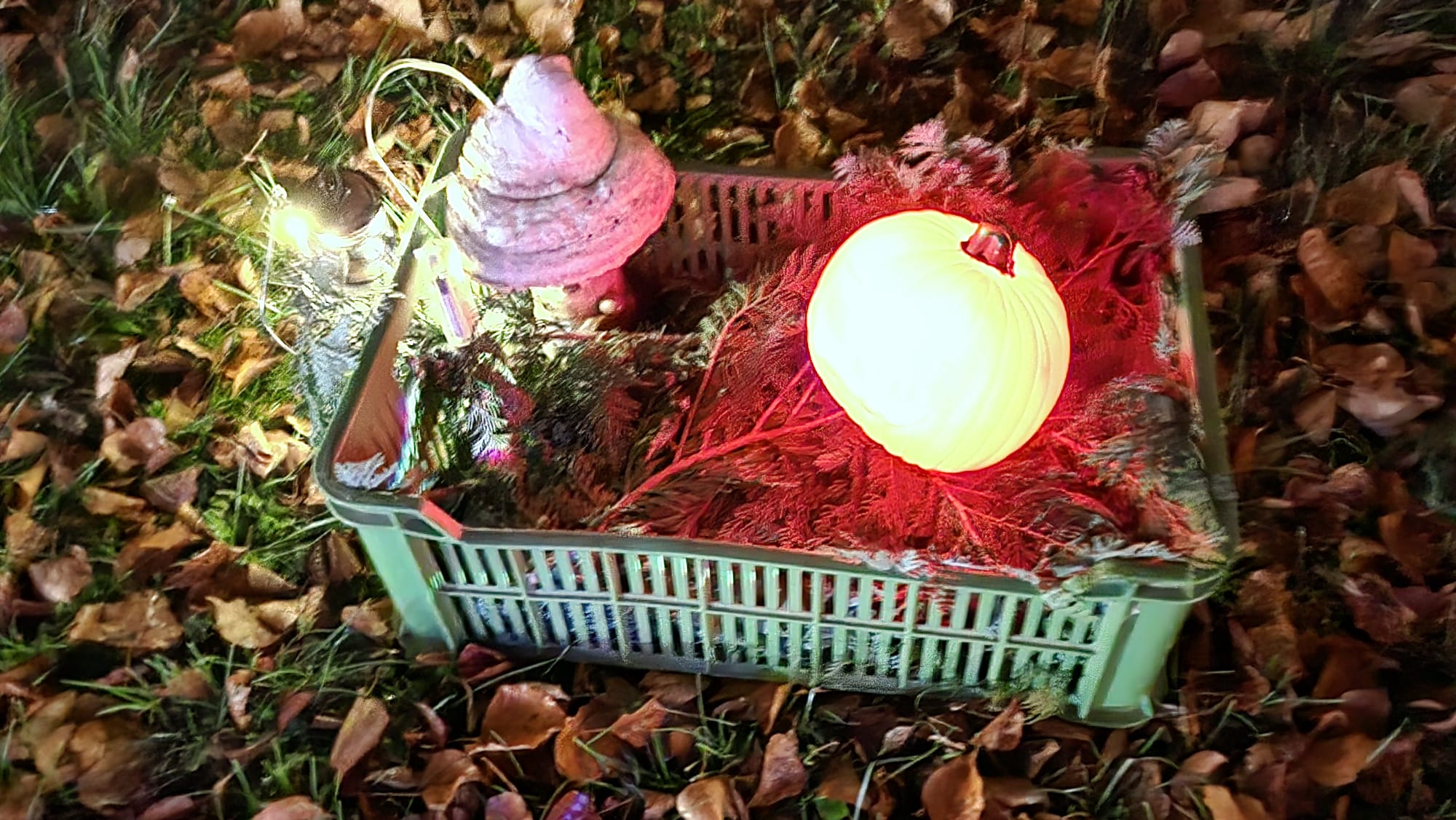 IMG-20241110-WA0022
