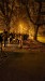IMG-20241110-WA0024
