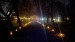 IMG-20241110-WA0013