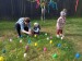 IMG-20250417-WA0150