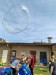 IMG-20250417-WA0025