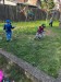 IMG-20250417-WA0001